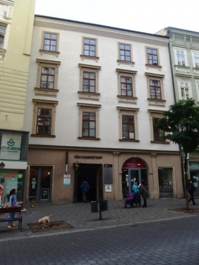 Rooms Orlí, Brno